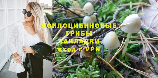 mdpv Весьегонск