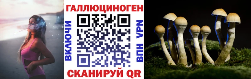 где купить   Константиновск  Псилоцибиновые грибы Magic Shrooms 